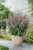 812c4ec266663b1d834bc0da4022fa6a.webp