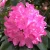 33c45fa2830585a29269d55898b58f24.webp