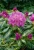 104811512efeb0cc49e7ea5192f6a949.webp