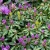 7a1d0fd652d9404fd7bbb2b99aef6c0f.webp