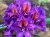 dcdbc77cb46f14fd486e485b4bbbf168.webp