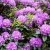99b4f1a42643c6a1095299f9cf0bd314.jpg