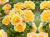 e21391edb6b1d1d608336063e0145cb8.png