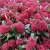 c360582fd49aa8905ac2102a22b4c9b7.webp