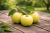 a85b6e5c96225aa62902e5901b7bd9d1.png