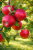 b43a4cbf83156af14cac7acf80e9c359.png