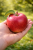 c2953f2d3127a5f08f8596ff51f10ffd.png