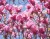 adcad9bff9f76ffbfec8b84b7ae63413.jpg