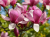 6bae6ed6ff939f7bf53c8fcd4e63ecb8.png