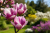 0812b6c025391b295a9eef24bb8a102b.png