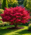 d921125f92dc61ff5521b41d657a0b48.png