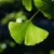 ecc4c06433c1230aa0c3962449193556.webp