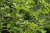 bd1b61ceaf610f0c7234365fb8b8402a.png