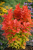 9ef141a3b89ab0ca6fa725d8e7c2e83d.png