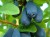 2cd56d130d4444be3ae2d0de49b7c2b7.jpg