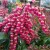 ad83b91635d369a3265b349587f91dbb.jpg