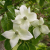 c469017b3280b371ea32b90652c88b03.png