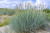 525d30bf78613a3a8a2931935e990621.png
