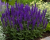09de1c705b90b58ab28332c788ddbb7a.png