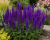 eb79841405351a56483a03327ea31614.png