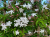 d6eaed6d95fbcbc3dc191a87da9698f4.png