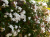 801ecdabe4c90d2cc084040e1380bbda.png