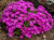 ff16baadd8050897704d3a135be1ccfd.png