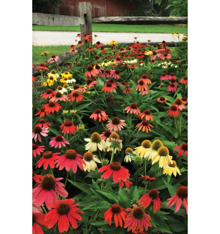 5755babdc0b922b04fbc3fae64c78b48.jpg