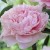 752fe6bb0d6add95da2feca17f18b3f4.jpg