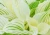 bb157a7b02890cec2c6ed13fe289a4b9.webp