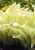 5c369b129ae94a2be0616fca81728ee2.jpg