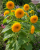 b08706e29c258e8d8514a0f56f66de98.png