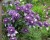 d5719f8ab96db031e9788aaf22cab5bf.jpg