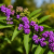 fad7fa408159d95145b8eea3696d905c.png