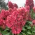 3d693f02652e1101b4cb57c7d01279de.webp