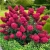 a91f066369deaaffe31f2c768797e946.webp