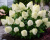 c6146f0a954abf5cd3be766dd9ca118c.png