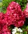 6d1d4ff6eccc3a2c496bf40d6bda10d3.jpg