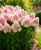 a3f793c202c0ea1d3725ffa8b8a54174.png