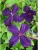 909780fccaf4d0d83c8f35a6b496f984.webp
