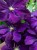 19cc2696c17870478e0affe4795e56e1.jpg