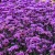 4f1491dd719f43d4c29e4f3269d41fef.webp