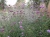 84d2f1b093c2c923f7ac0a5126630819.webp