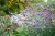130d201db3503b2f456a08627308c2c5.webp