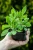 816bc0ab4cf6ffc6c97cab820844fac6.webp