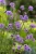 bb8fc5d7ab5cef75eae309d89686cf8a.webp