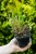 e2511ec80eb4b6b625e727dbdba64a29.webp