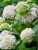 779308c6540e9ff544452fb626738924.webp