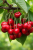 b1fa049b4a2cb2423af973f861972645.png