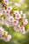 eacd05f1e6a1676ea5e066d32ee92388.png